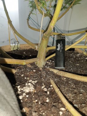 20221214_103328.jpg 20221214_103328.jpg