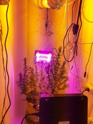 20221214_103142.jpg 20221214_103142.jpg