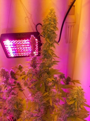 20221214_120051.jpg 20221214_120051.jpg