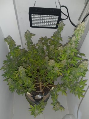 20221214_120014.jpg 20221214_120014.jpg