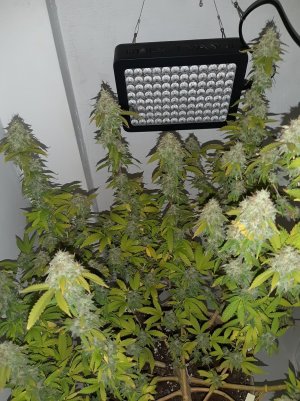 20221215_100601.jpg 20221215_100601.jpg