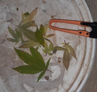 20221215_100426.jpg 20221215_100426.jpg