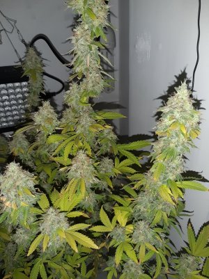 20221215_112529.jpg 20221215_112529.jpg