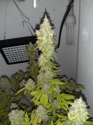 20221215_112602.jpg 20221215_112602.jpg