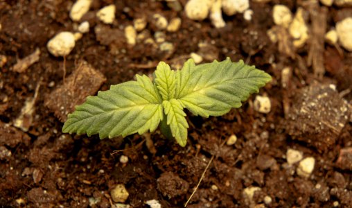 5446798.jpg 5446798.jpg