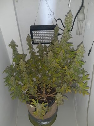 20221216_085409.jpg 20221216_085409.jpg