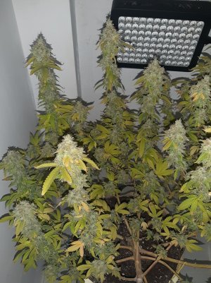 20221216_094604.jpg 20221216_094604.jpg