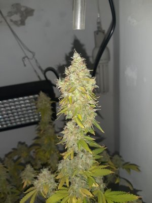 20221216_094615.jpg 20221216_094615.jpg