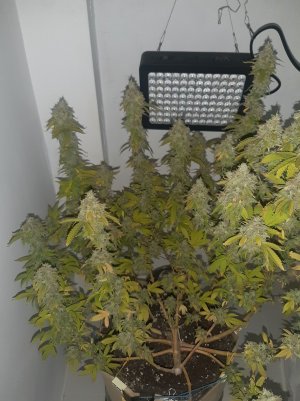 20221216_094517.jpg 20221216_094517.jpg