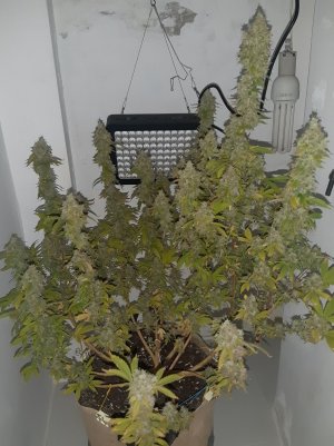 20221216_095537.jpg 20221216_095537.jpg