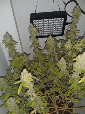 20221216_095549.jpg 20221216_095549.jpg