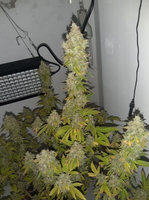 20221216_095614.jpg 20221216_095614.jpg