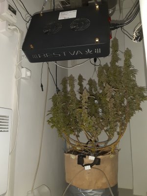 20221216_105814.jpg 20221216_105814.jpg