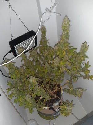 20221216_105728.jpg 20221216_105728.jpg