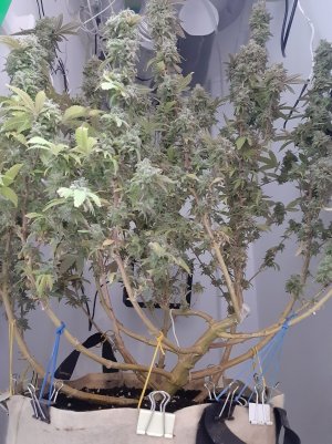 20221216_122438.jpg 20221216_122438.jpg