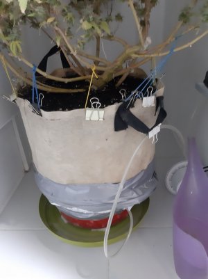 20221216_122415.jpg 20221216_122415.jpg