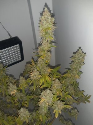 20221216_135944.jpg 20221216_135944.jpg