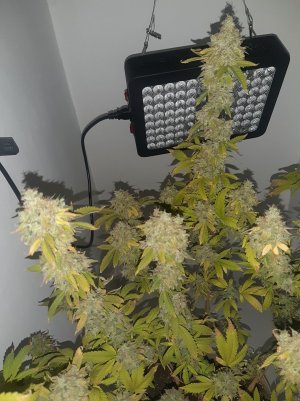 20221216_135956.jpg 20221216_135956.jpg