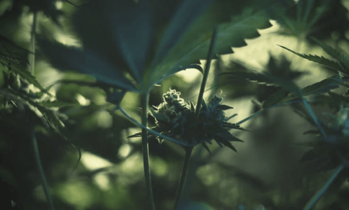 1671207957505.png 1671207957505.png