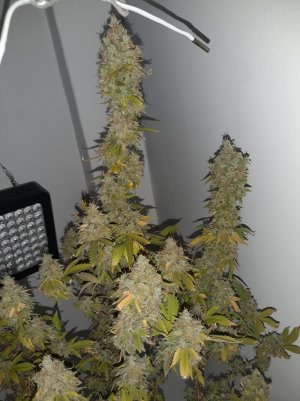 20221217_121247.jpg 20221217_121247.jpg