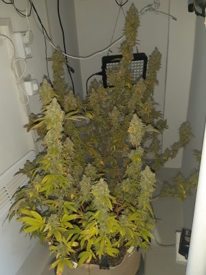 20221217_122105.jpg 20221217_122105.jpg