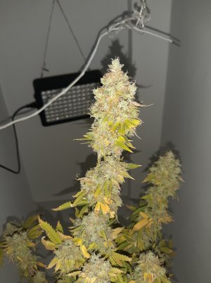 20221217_122040.jpg 20221217_122040.jpg