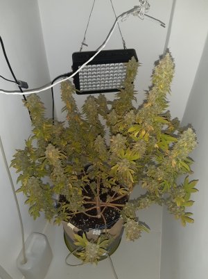 20221217_155702.jpg 20221217_155702.jpg