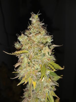 20221217_155613.jpg 20221217_155613.jpg