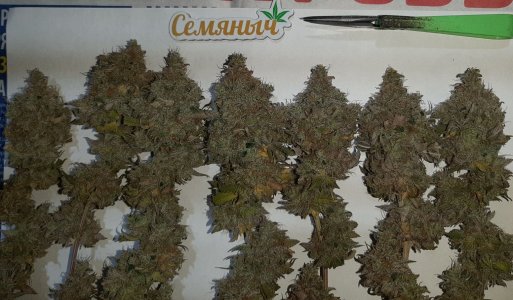 20221217_170241.jpg 20221217_170241.jpg