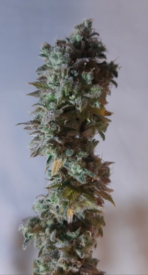 20221217_170323.jpg 20221217_170323.jpg