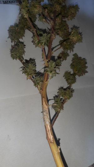 20221217_170454.jpg 20221217_170454.jpg