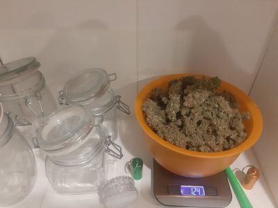 20221217_180402.jpg 20221217_180402.jpg