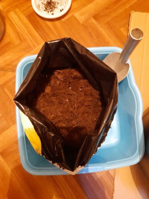 20221216_221839.jpg 20221216_221839.jpg