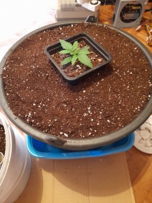 20221216_235854.jpg 20221216_235854.jpg