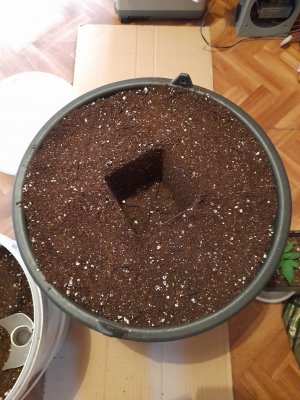 20221216_235922.jpg 20221216_235922.jpg