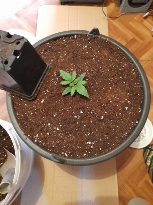 20221217_000443.jpg 20221217_000443.jpg