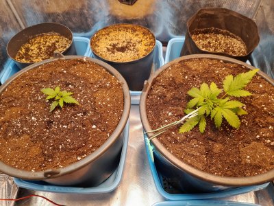 20221217_002356.jpg 20221217_002356.jpg