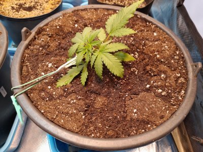 20221217_002338.jpg 20221217_002338.jpg