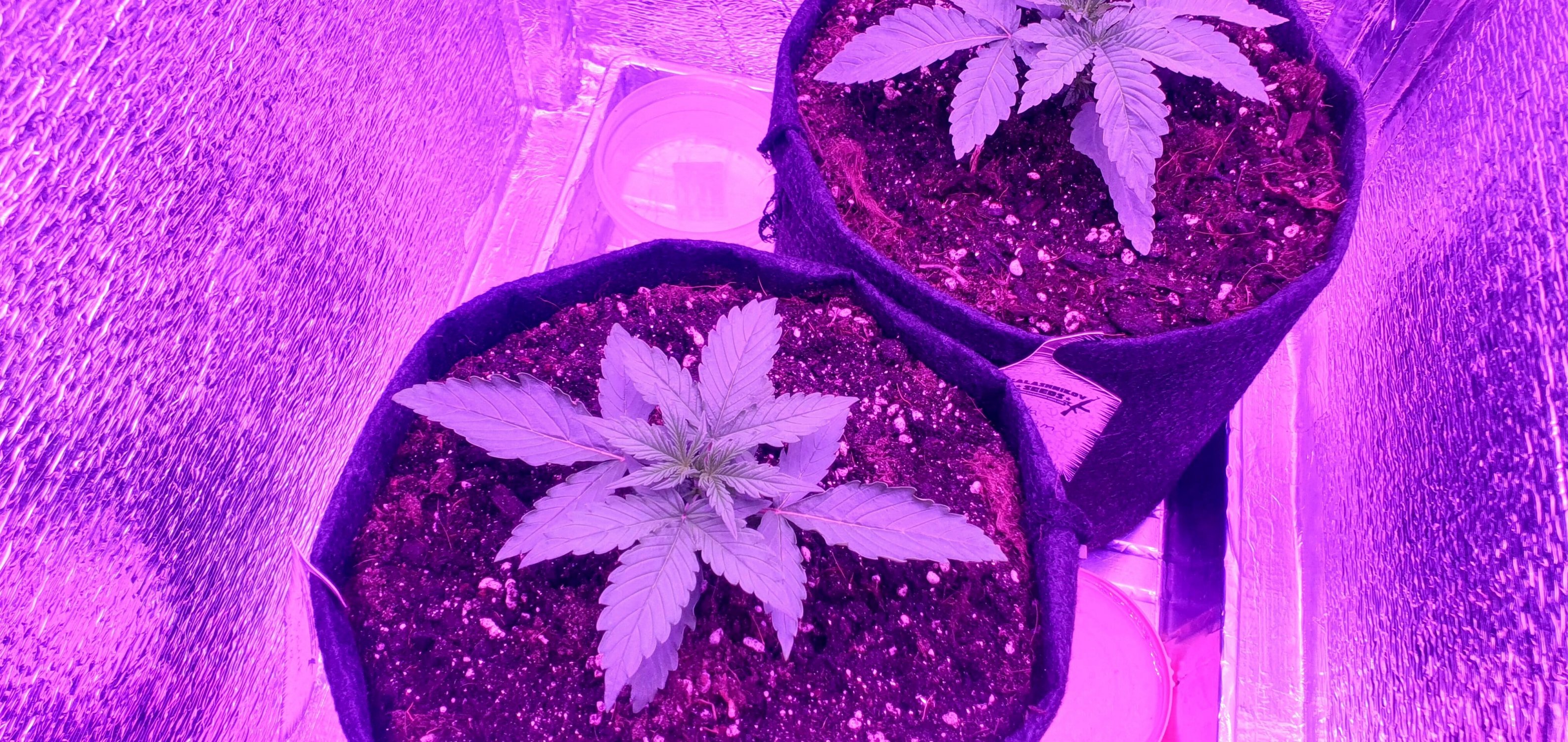 20221207_111329 (1).jpg