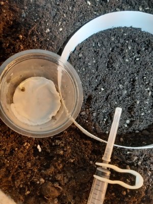 20221219_131024.jpg 20221219_131024.jpg