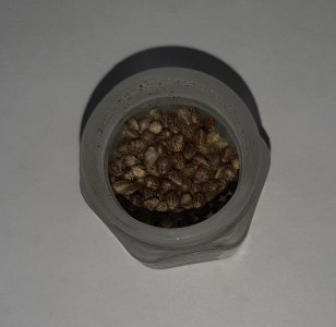 20221113_223119.jpg 20221113_223119.jpg