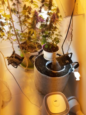 20221219_131055.jpg 20221219_131055.jpg