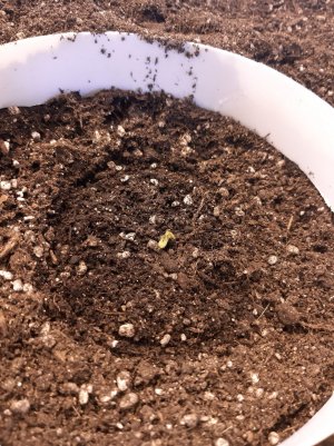 20221219_140946.jpg 20221219_140946.jpg