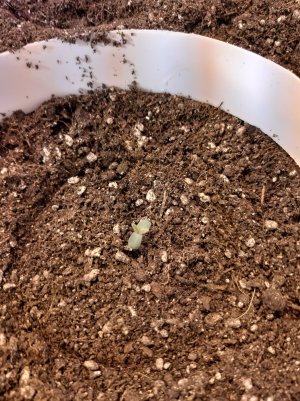 20221219_140858.jpg 20221219_140858.jpg