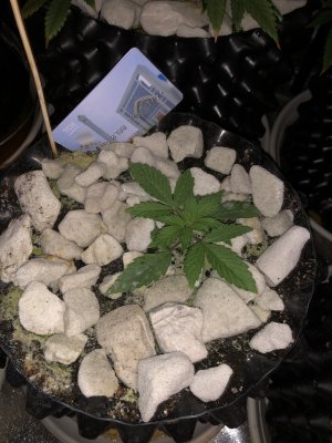 20221211_085309776_iOS.jpg 20221211_085309776_iOS.jpg