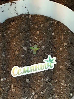 20221220_093126.jpg 20221220_093126.jpg