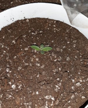 20221220_093054.jpg 20221220_093054.jpg