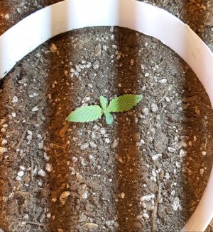 20221220_092953.jpg 20221220_092953.jpg