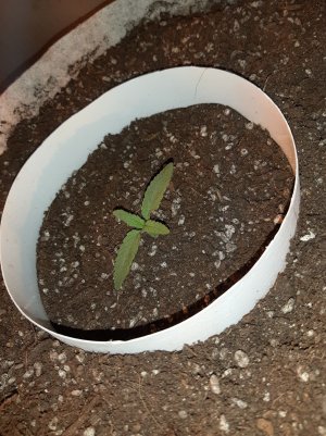 20221220_092904.jpg 20221220_092904.jpg