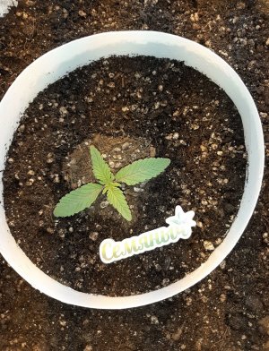 20221220_101059.jpg 20221220_101059.jpg